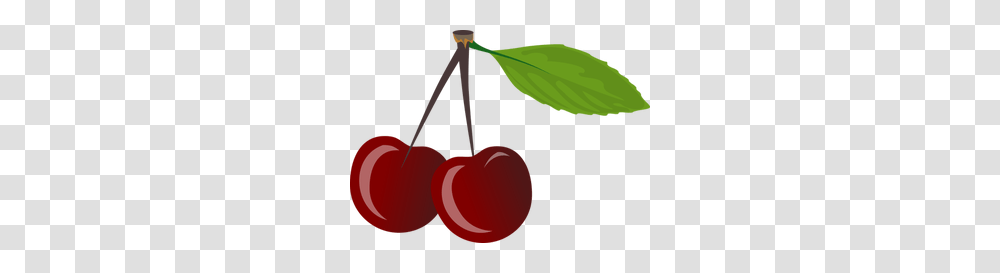 Free Cherry Vector Art, Plant, Fruit, Food Transparent Png