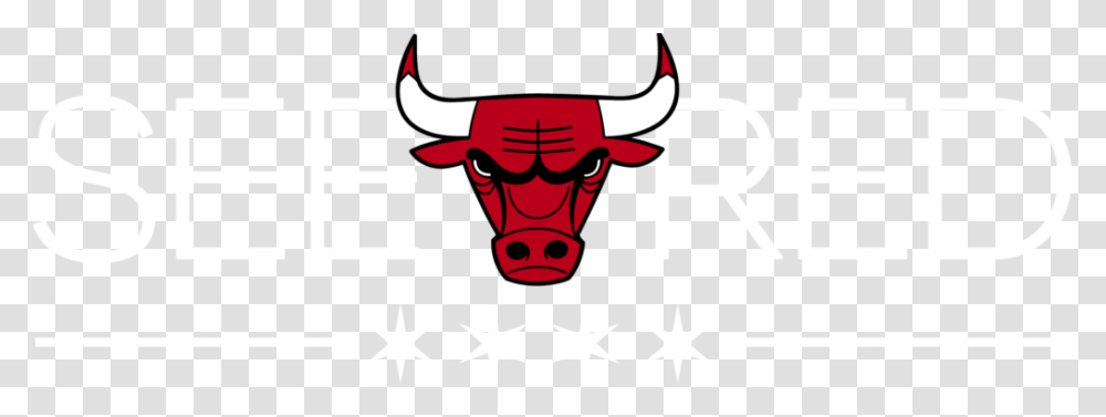 Free Chicago Bulls Photos Vector Clipart, Animal, Star Symbol, Mammal Transparent Png