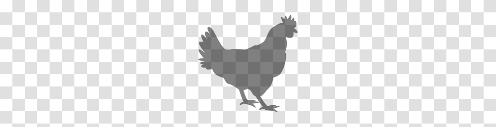 Free Chicken Clipart Ch Cken Icons, Gray, World Of Warcraft Transparent Png