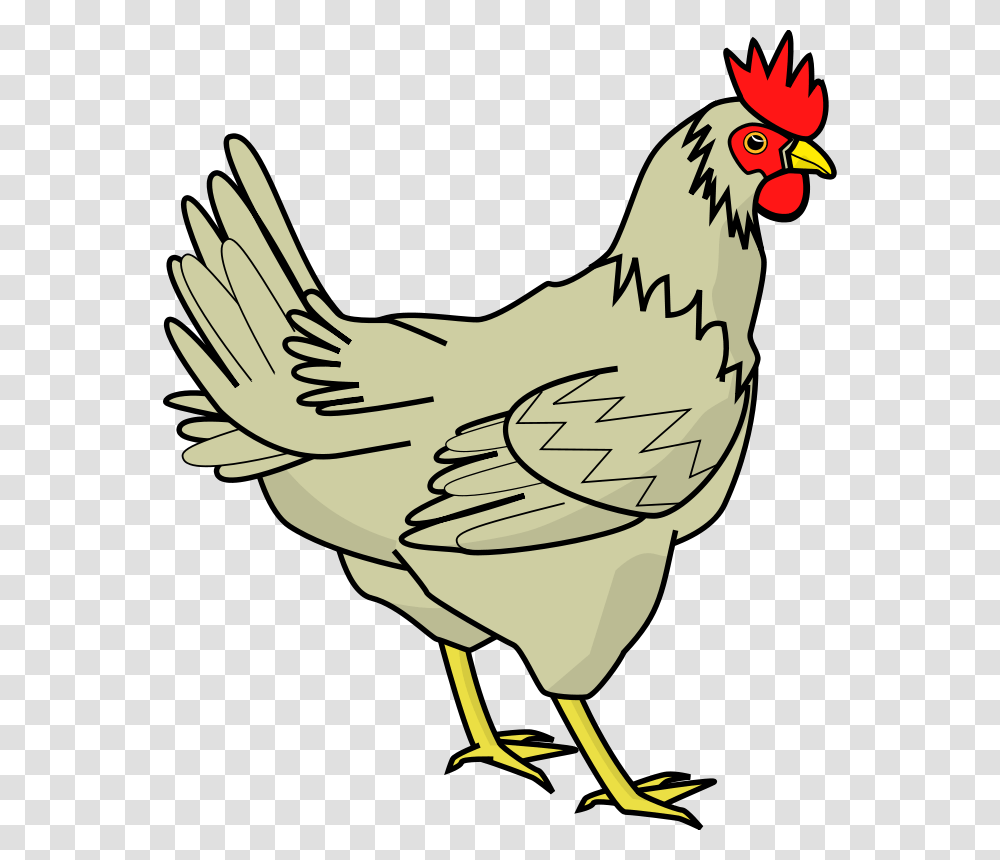Free Chicken Clipart, Poultry, Fowl, Bird, Animal Transparent Png