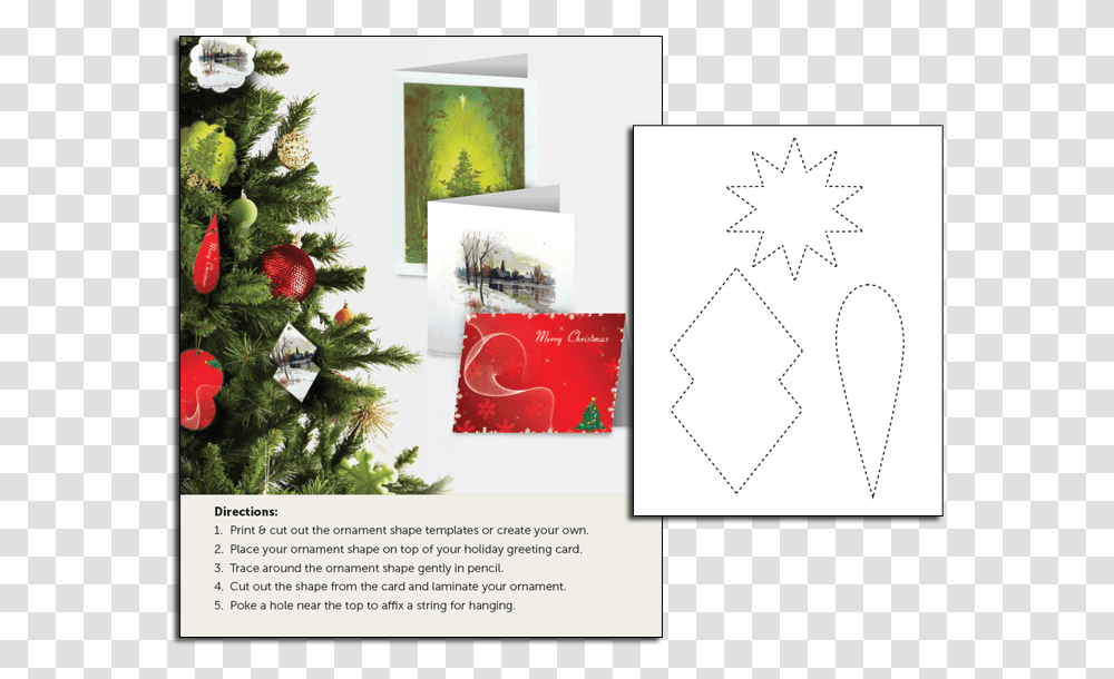 Free Christmas Card, Tree, Plant, Ornament, Christmas Tree Transparent Png