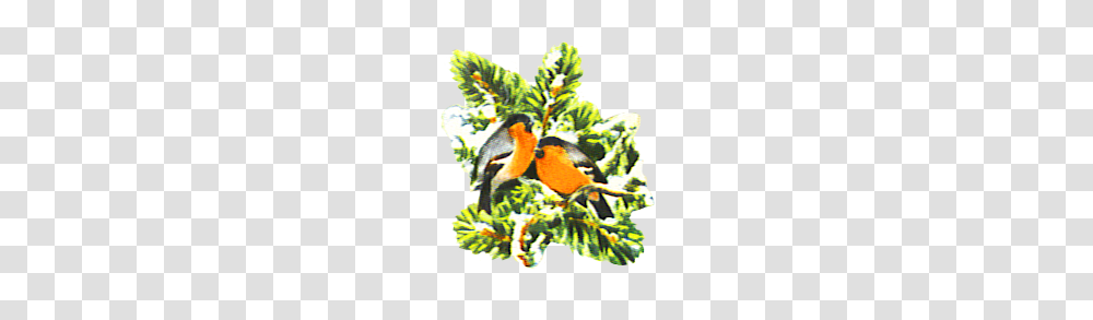 Free Christmas Clip Art, Bird, Animal, Tree, Plant Transparent Png