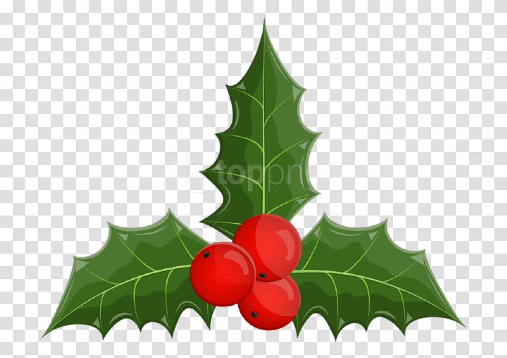 Free Christmas Holly Mistletoe Clip Art Christmas Mistletoe, Leaf, Plant, Tree, Fruit Transparent Png