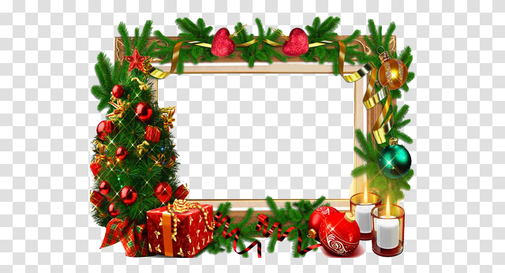 Free Christmas Photo Frames Christmas Frame, Plant, Tree, Vegetation, Flower Transparent Png