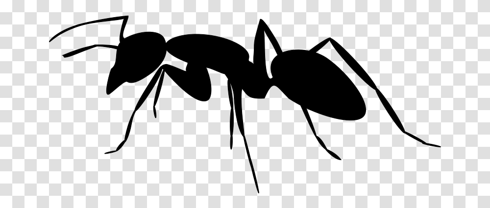 Free Clip Art Ant Silhouette, Gray, World Of Warcraft Transparent Png