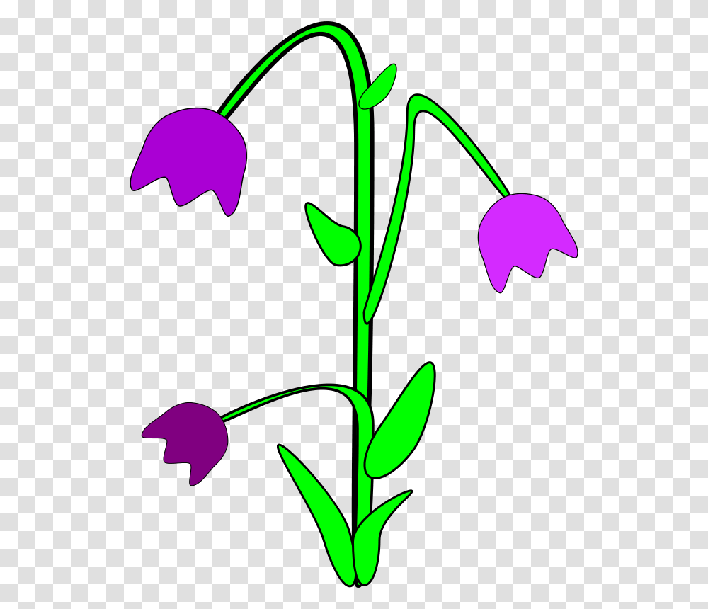 Free Clip Art Bell Flower, Green, Plant, Blossom Transparent Png
