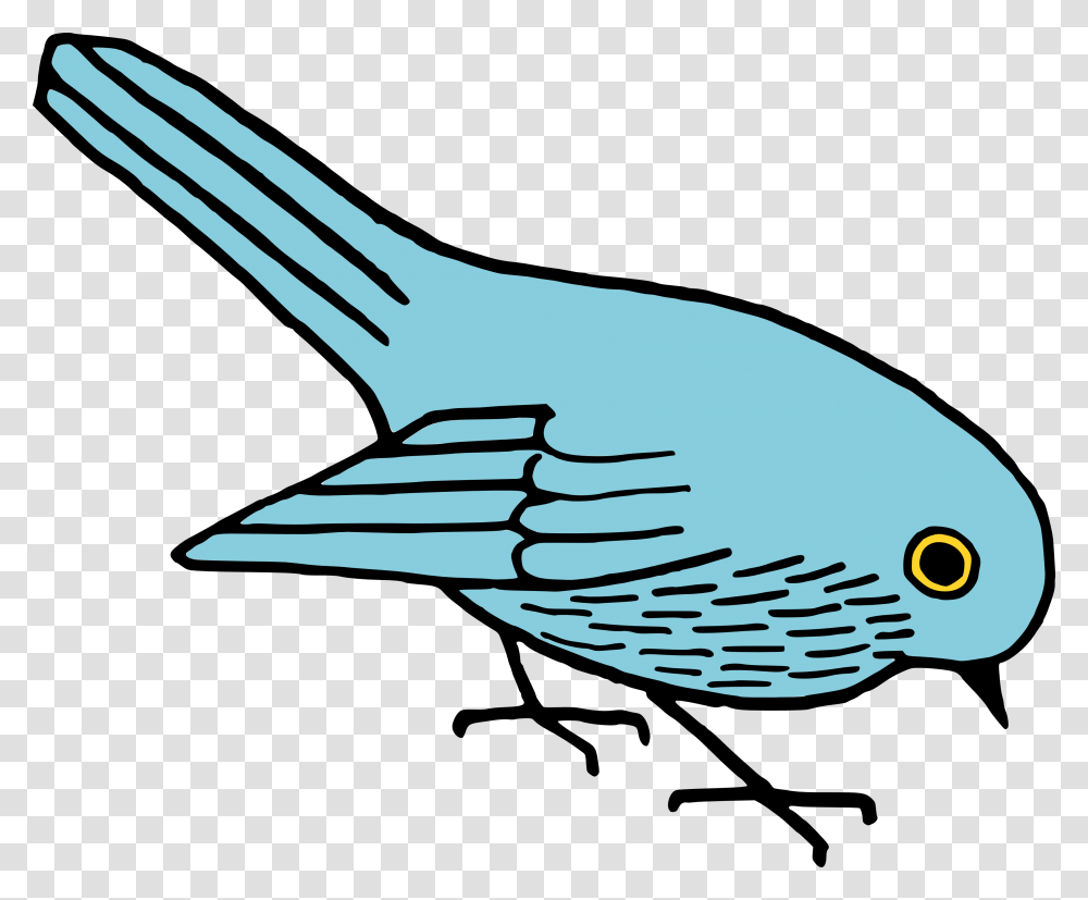 Free Clip Art Bird Clip Art Department, Jay, Animal, Water, Blue Jay Transparent Png