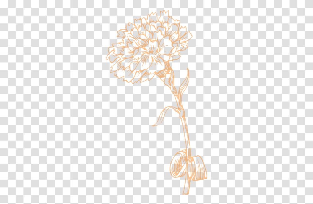 Free Clip Art Carnation Flower Black And White, Plant, Tree, Vegetation, Rug Transparent Png