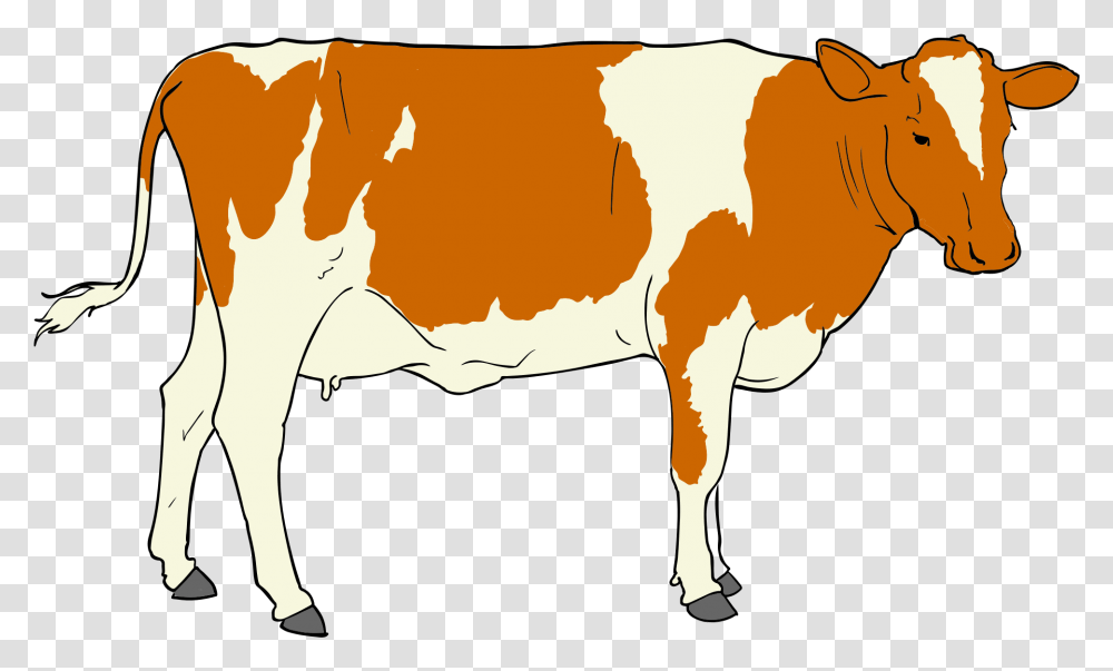 Free Clip Art Cow, Dairy Cow, Cattle, Mammal, Animal Transparent Png