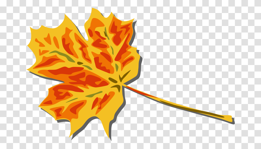 Free Clip Art Fall Leaves, Leaf, Plant, Tree, Maple Transparent Png
