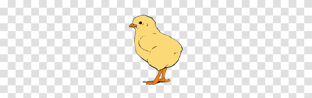 Free Clip Art Farm Animals, Hen, Chicken, Poultry, Fowl Transparent Png