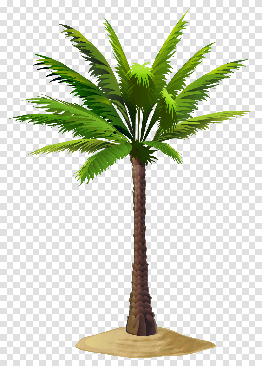 Free Clip Art Image Gallery Yopriceville Date Tree Palm Trees Transparent Png