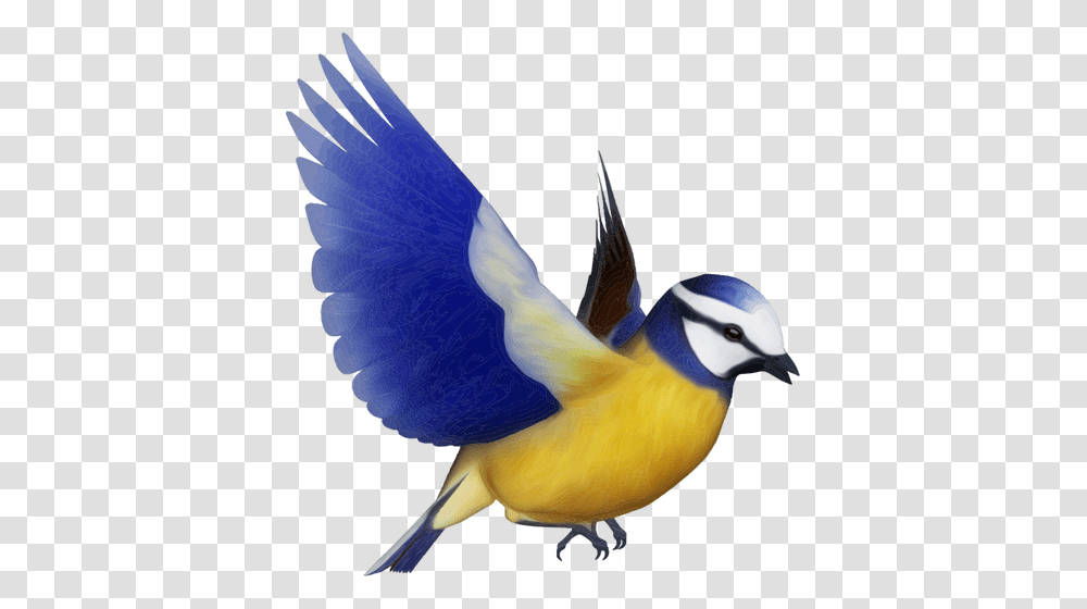 Free Clip Art Line Drawing Bird, Animal, Finch, Bluebird, Canary Transparent Png