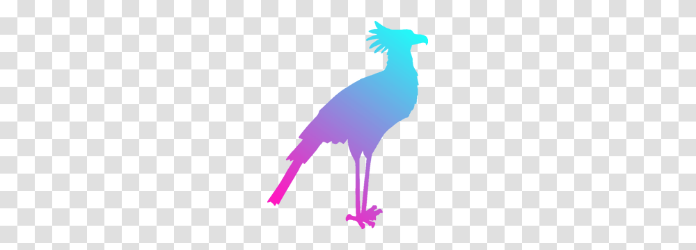 Free Clip Art Line Drawing Bird, Animal, Flamingo, Ostrich Transparent Png