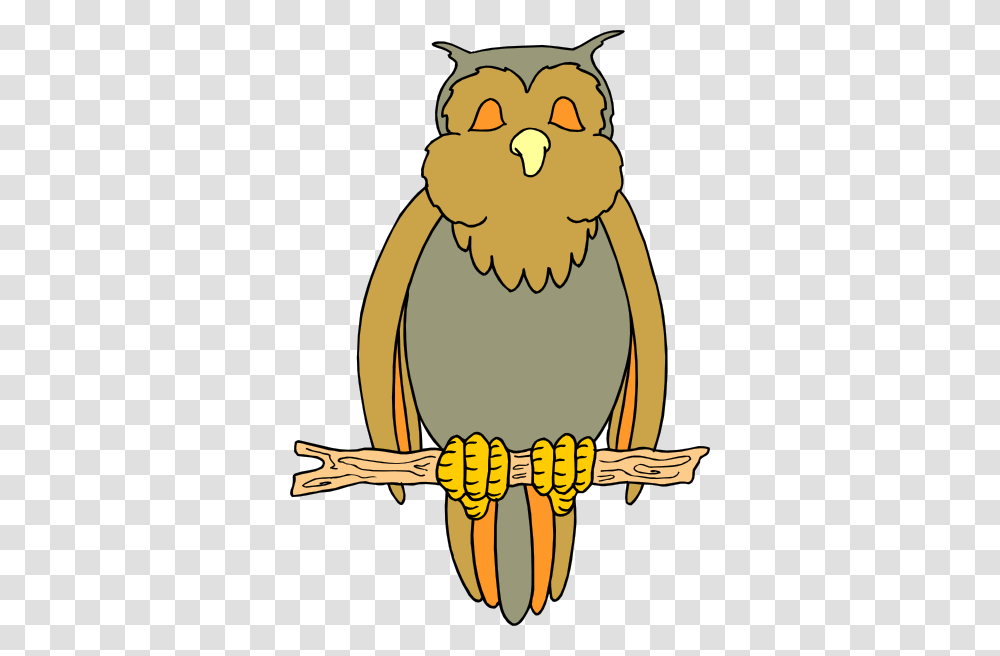 Free Clip Art Night Owl Image Information, Bird, Animal, Penguin Transparent Png