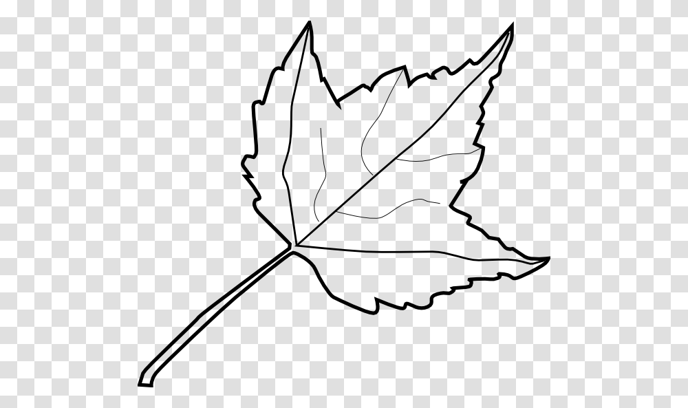 Free Clip Art Outline, Leaf, Plant, Maple Leaf, Tree Transparent Png