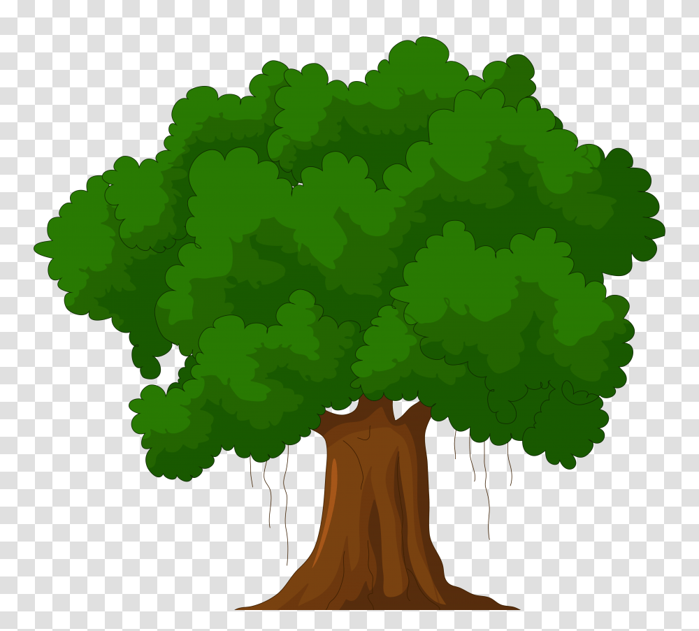 Free Clip Art, Plant, Tree, Moss, Root Transparent Png