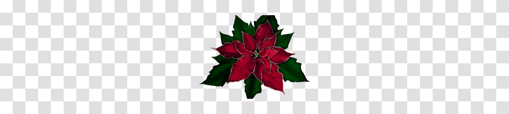 Free Clip Art Poinsettia Free Poinsettias Cliparts Download Free, Leaf, Plant, Pattern, Ornament Transparent Png