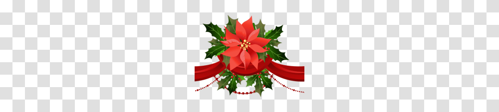 Free Clip Art Poinsettia Free Poinsettias Cliparts Download Free, Leaf, Plant, Tree, Flower Transparent Png
