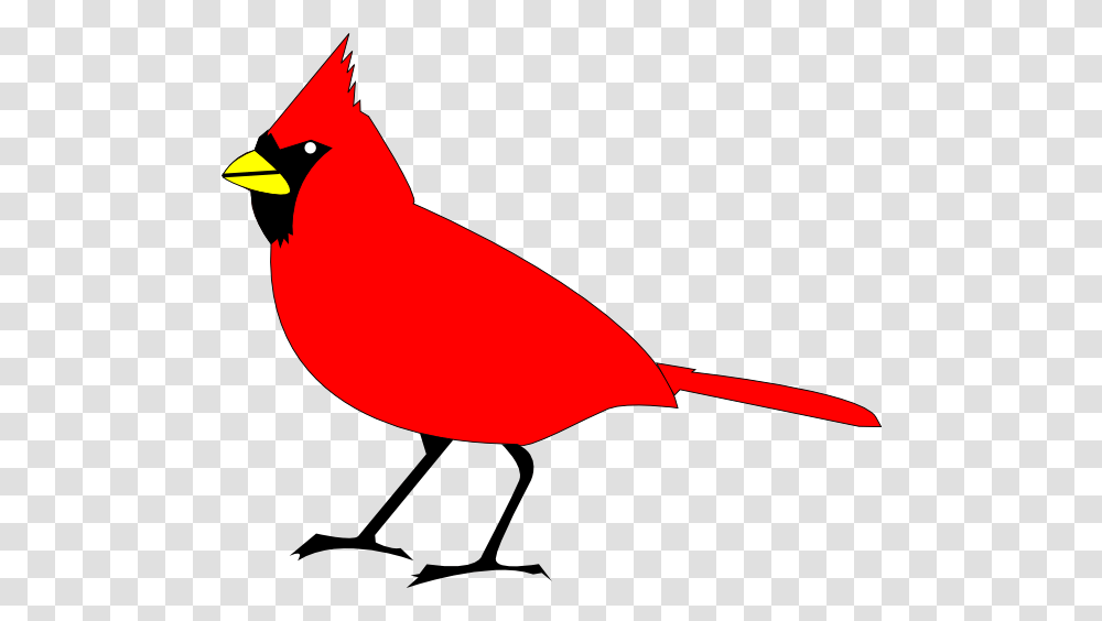 Free Clip Art Vector Design Of Cardinal Bird Has Been, Animal, Beak, Finch, Jay Transparent Png
