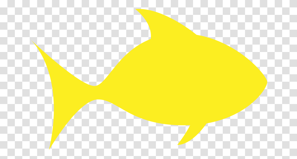 Free Clipart A Yellow Fish, Animal, Sea Life, Rock Beauty, Surgeonfish Transparent Png