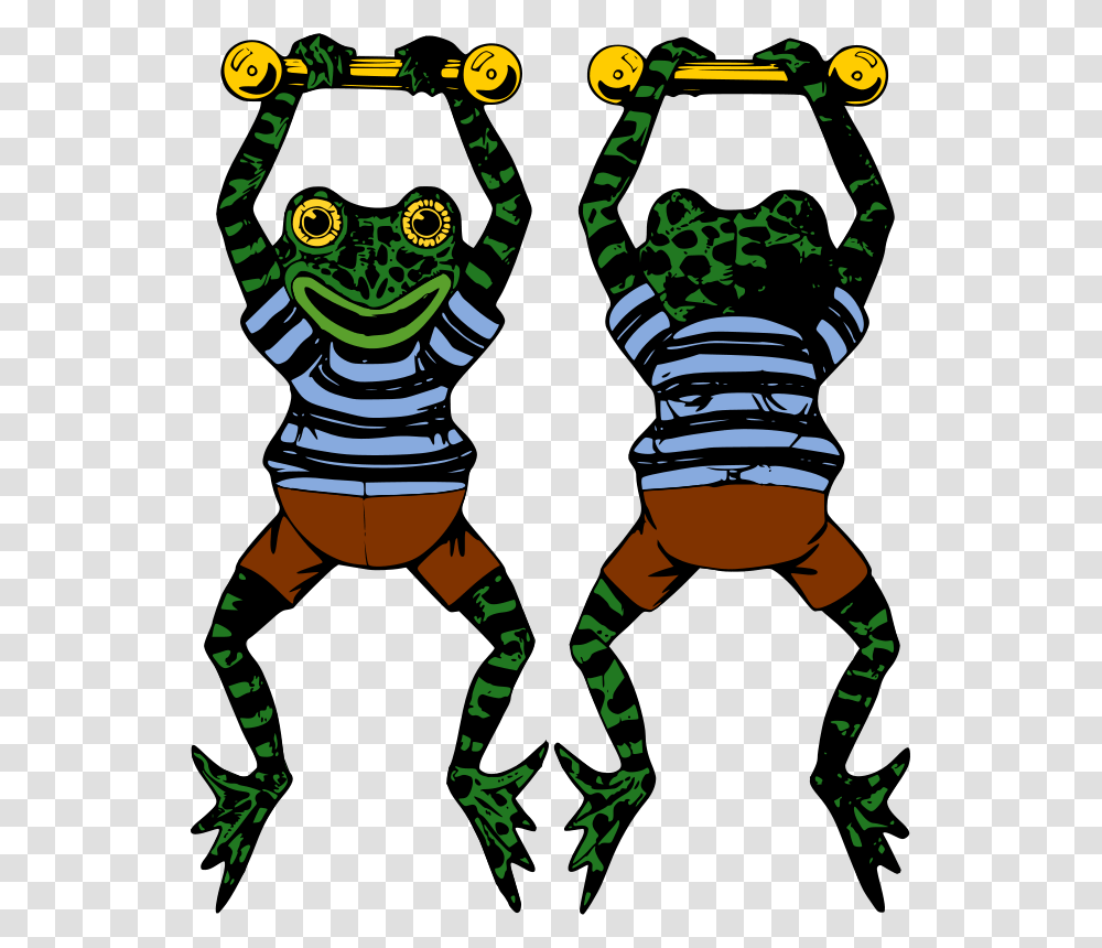 Free Clipart Acrobat Frog, Poster, Person, Animal, Insect Transparent Png