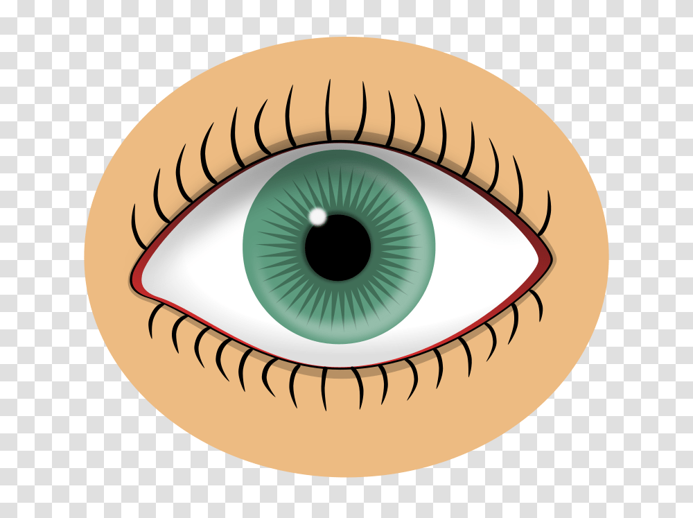 Free Clipart Acta Stop Greek Agiofws, Contact Lens, Photography, Drawing Transparent Png