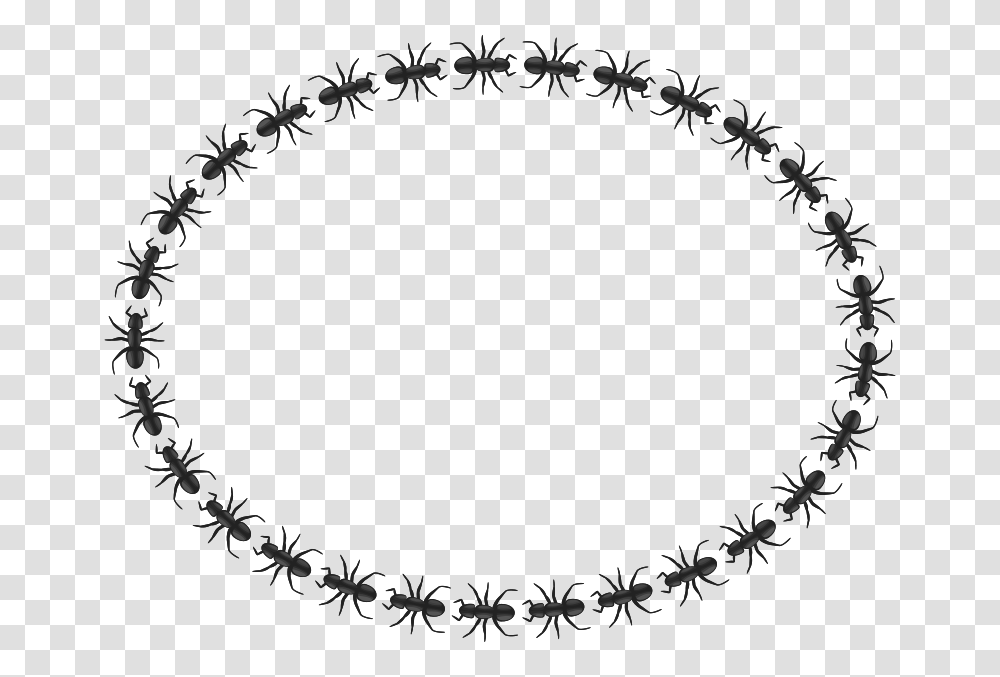 Free Clipart Ant Border Oval Pitr, Pattern, Wreath, Gray Transparent Png