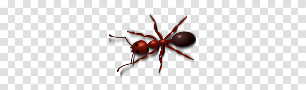 Free Clipart Ants Picnic Clip Art Ants, Invertebrate, Animal, Insect Transparent Png