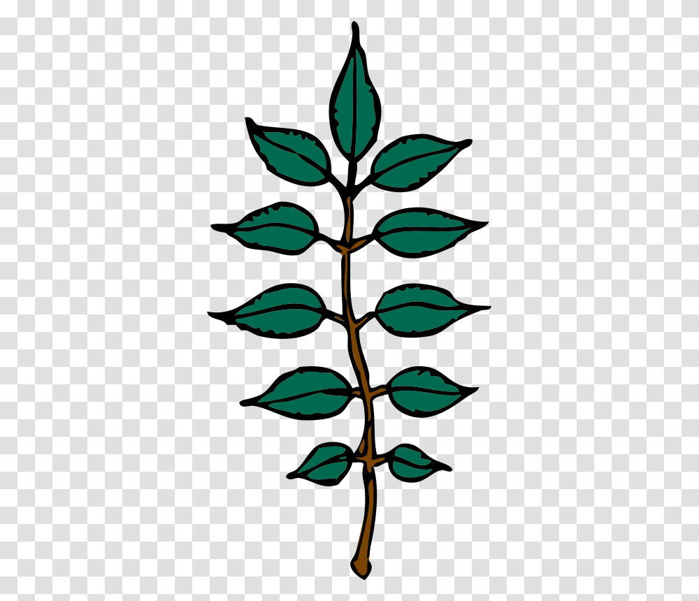 Free Clipart Ash Leaves Johnny Automatic, Leaf, Plant, Tree, Green Transparent Png