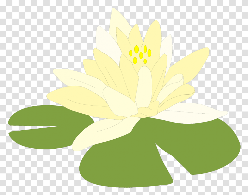 Free Clipart Background Lily Pad Background, Plant, Flower, Blossom, Pond Lily Transparent Png