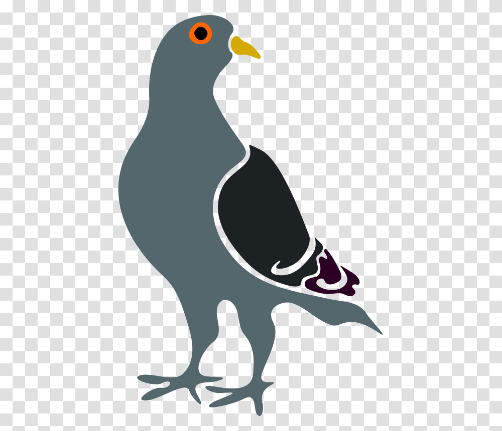 Free Clipart, Bird, Animal, Penguin, Pigeon Transparent Png