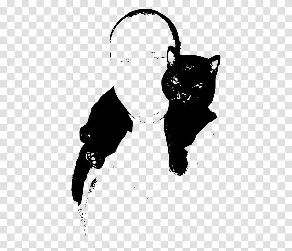 Free Clipart Black Cat Neck Wrap, Gray, World Of Warcraft Transparent Png