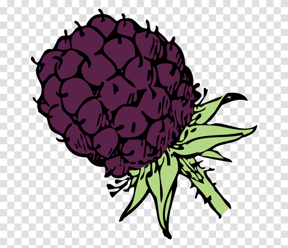 Free Clipart Blackberry Johnny Automatic, Plant, Dahlia, Flower, Purple Transparent Png