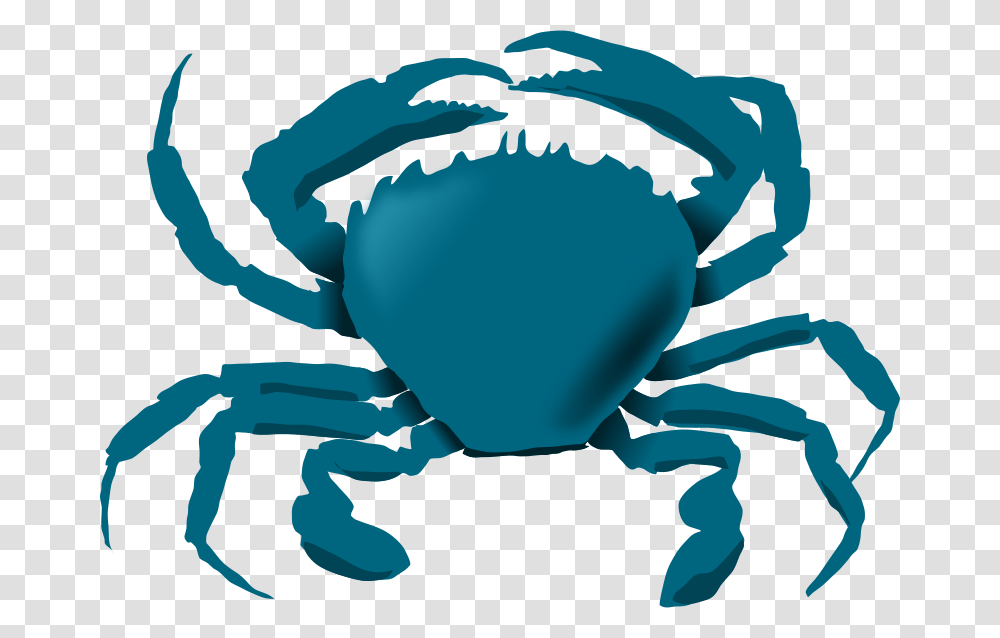 Free Clipart Blue Crab Annaleeblysse, Sea Life, Animal, Seafood, Person Transparent Png