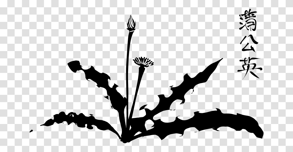 Free Clipart Caillgraphic Dandelion Sneptune, Gray, World Of Warcraft Transparent Png