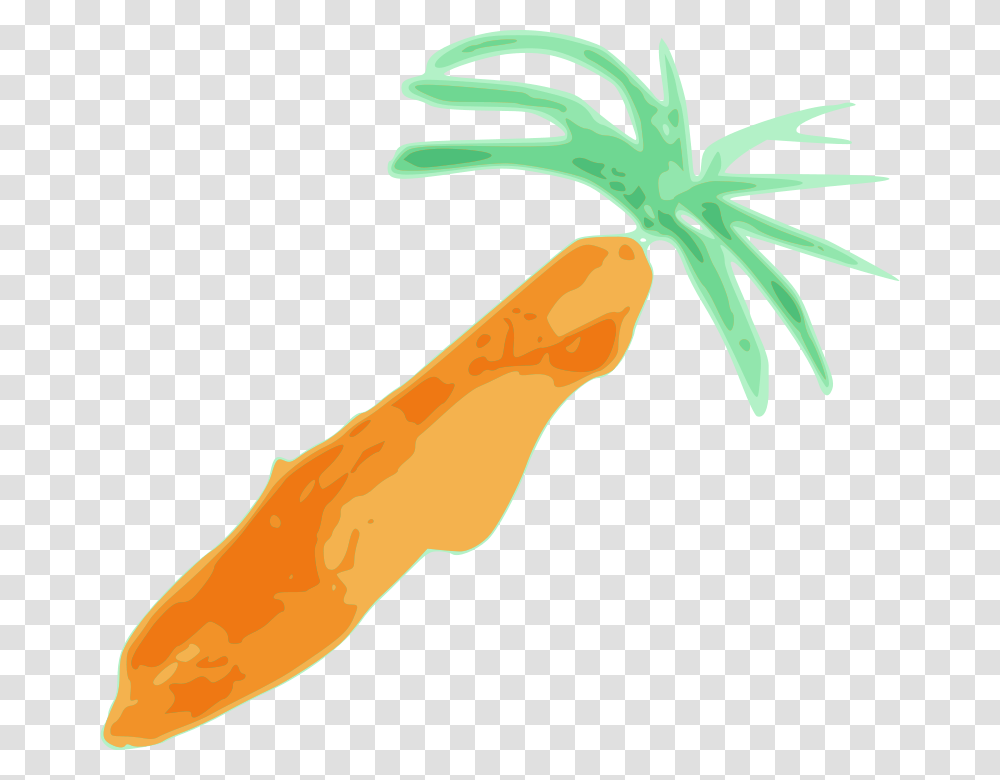 Free Clipart Carrot Jiangyi, Plant, Vegetable, Food Transparent Png