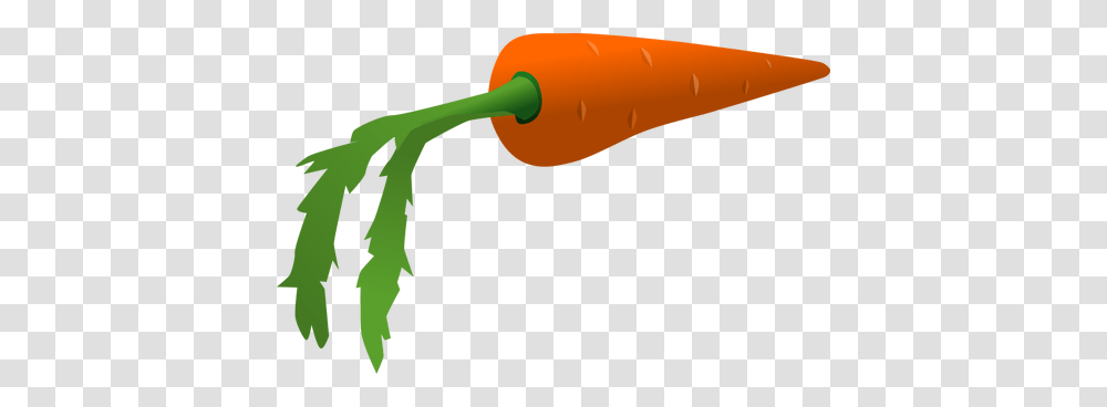 Free Clipart Carrot, Plant, Vegetable, Food, Outdoors Transparent Png