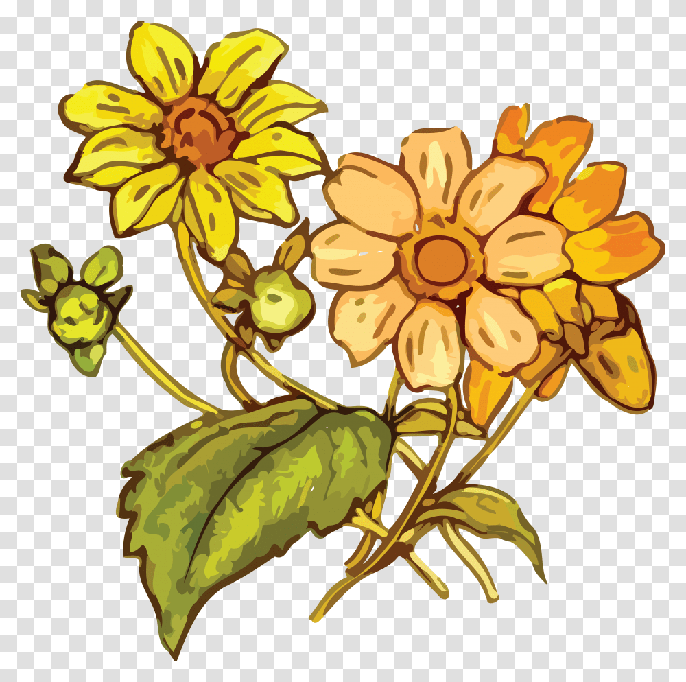 Free Clipart Cdr, Plant, Flower, Blossom, Treasure Flower Transparent Png
