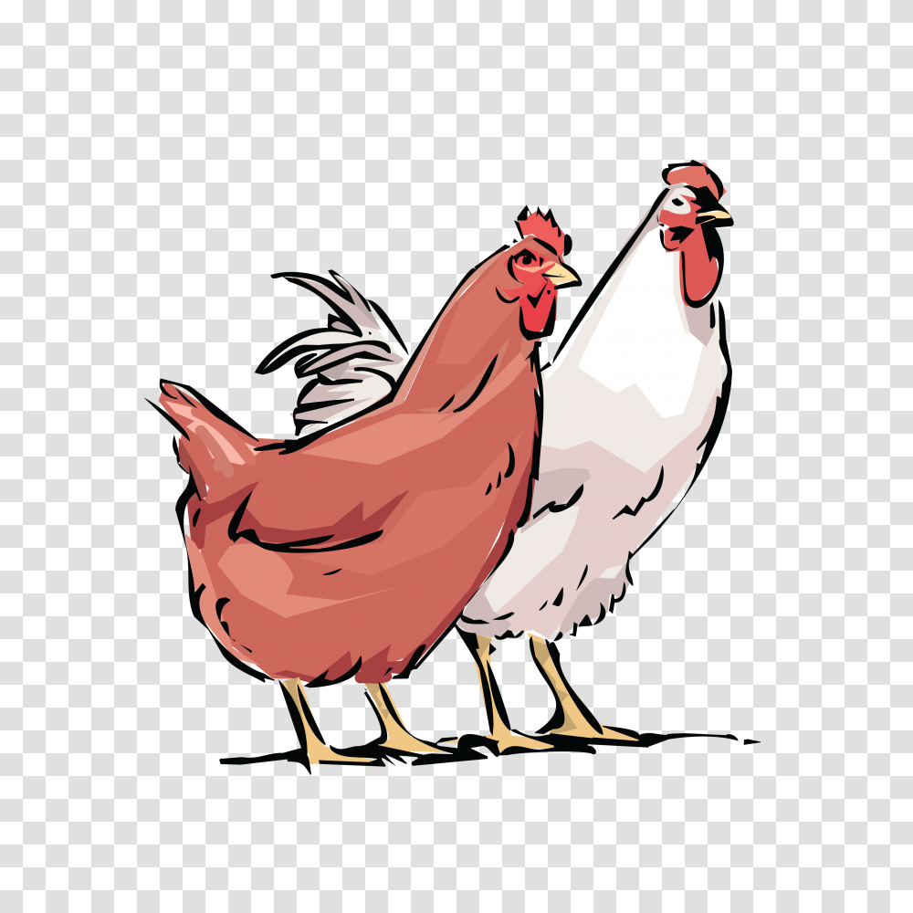 Free Clipart Cdr, Poultry, Fowl, Bird, Animal Transparent Png