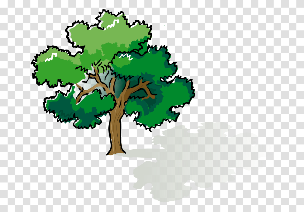 Free Clipart Colored Oak Tree, Plant, Nature, Outdoors, Vegetation Transparent Png