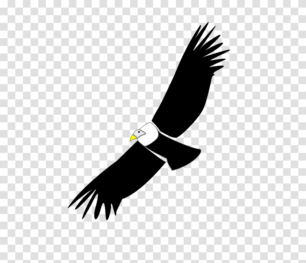 Free Clipart Condor Oscarinem, Bird, Animal, Vulture, Moon Transparent Png