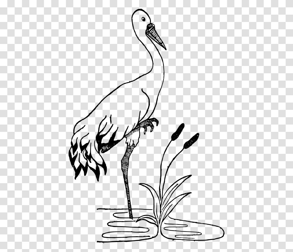 Free Clipart Crane In A Pond, Gray, World Of Warcraft Transparent Png