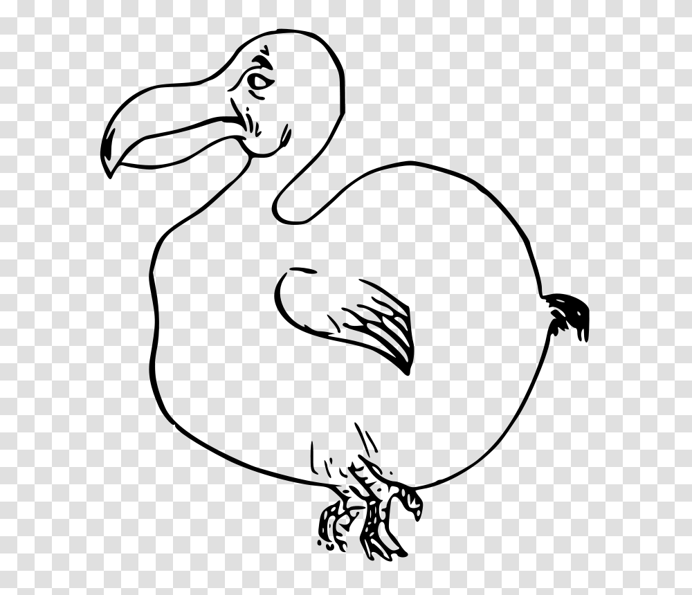 Free Clipart Dodo Bird Ossidiana, Gray, World Of Warcraft Transparent Png