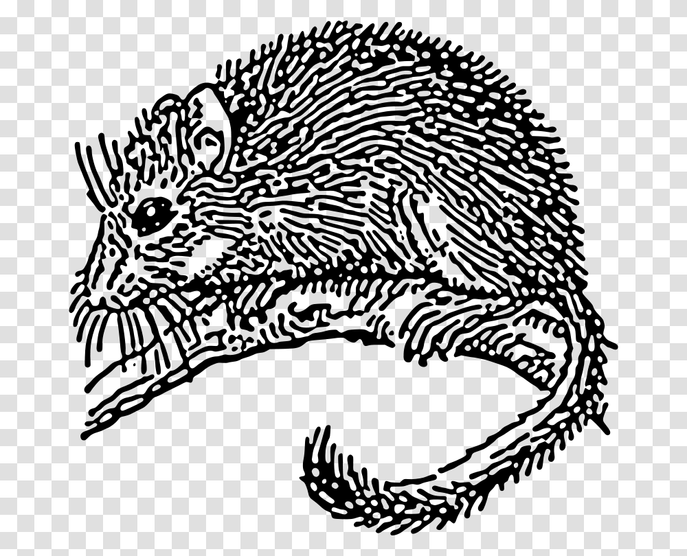 Free Clipart Dormouse Papapishu, Gray, World Of Warcraft Transparent Png