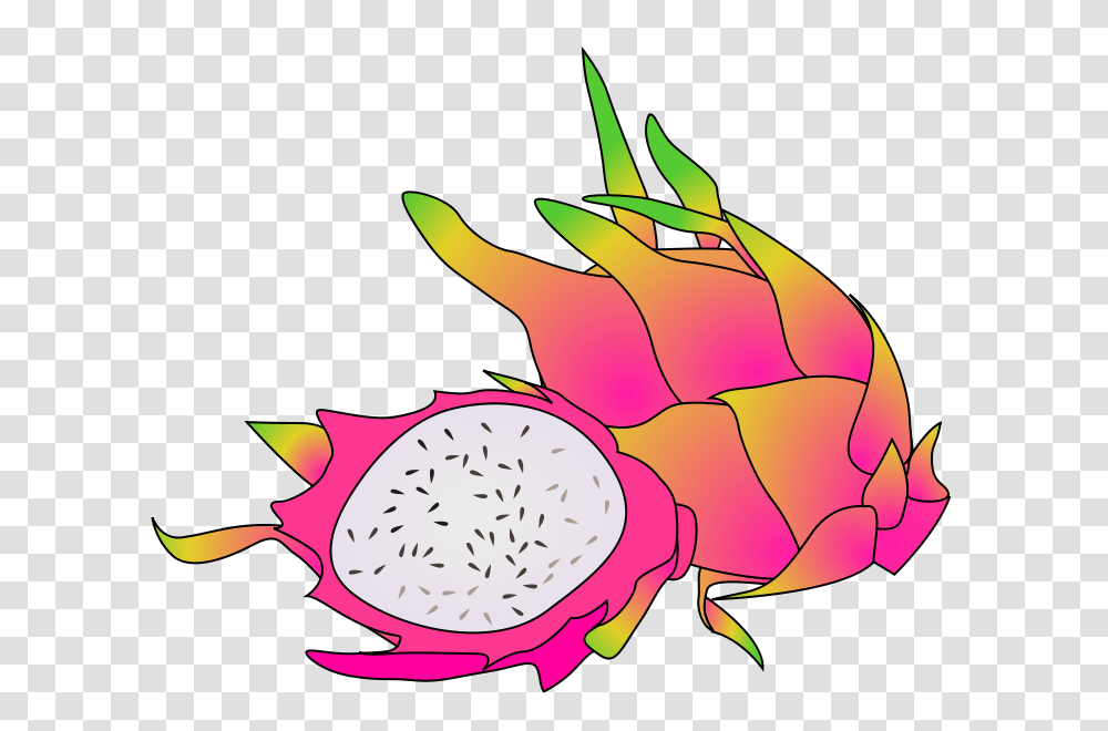 Free Clipart Dragon Fruit Ycteo, Plant, Sea Life, Animal, Flower Transparent Png