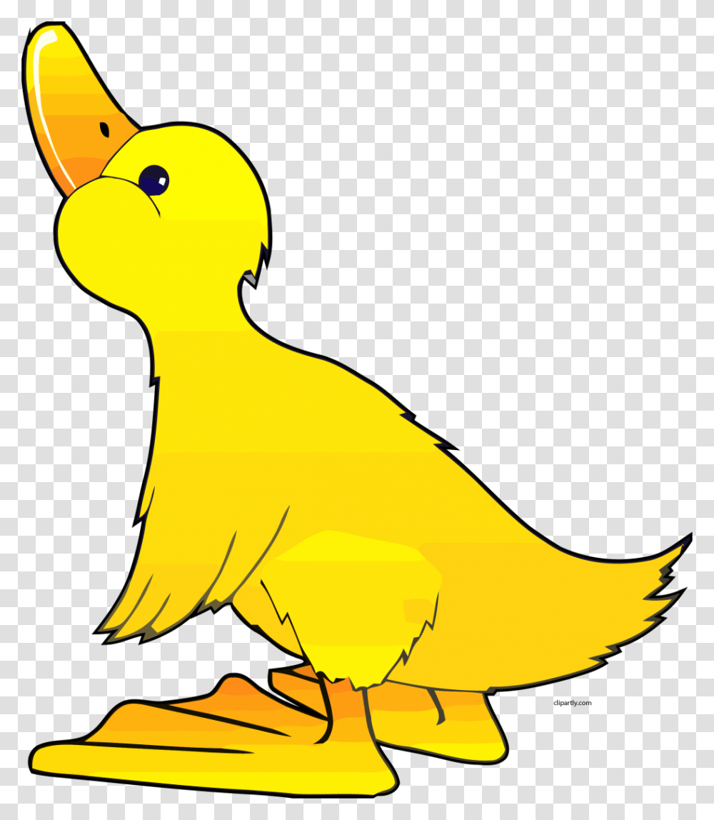 Free Clipart Duck, Bird, Animal, Waterfowl Transparent Png
