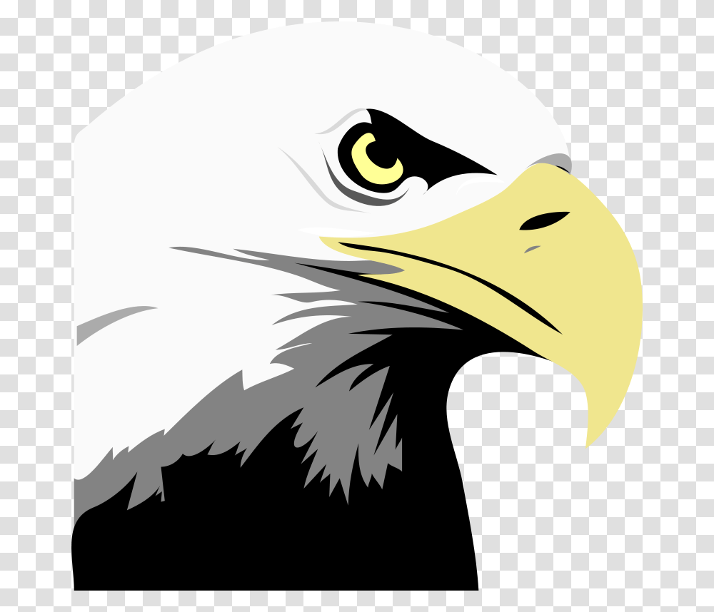 Free Clipart, Eagle, Bird, Animal, Bald Eagle Transparent Png