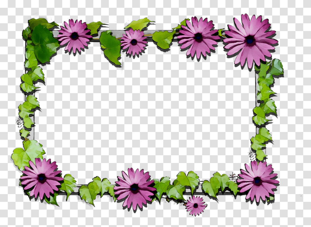 Free Clipart Flowers African Daisy, Plant, Floral Design, Pattern Transparent Png