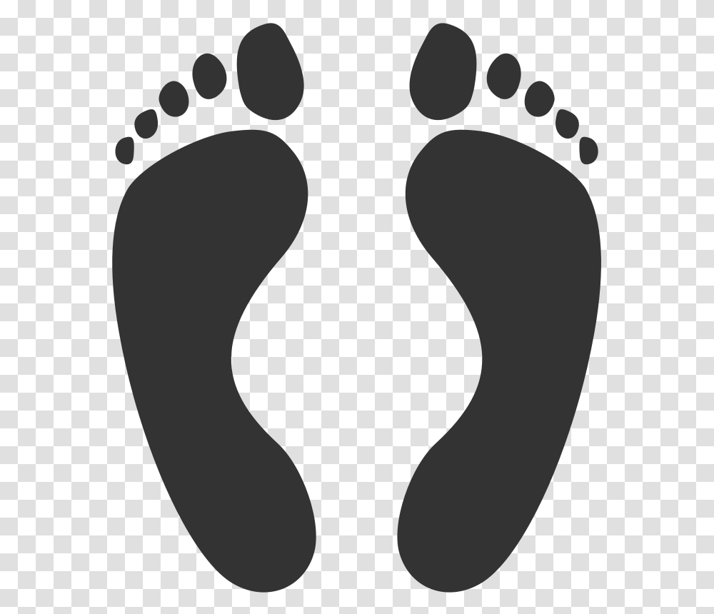 Free Clipart, Footprint Transparent Png